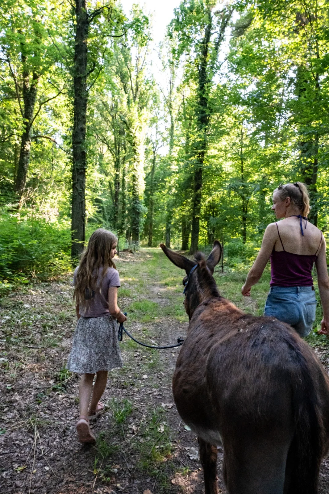 Wanderung mit einem Esel auf einem Grasweg durch den Wald