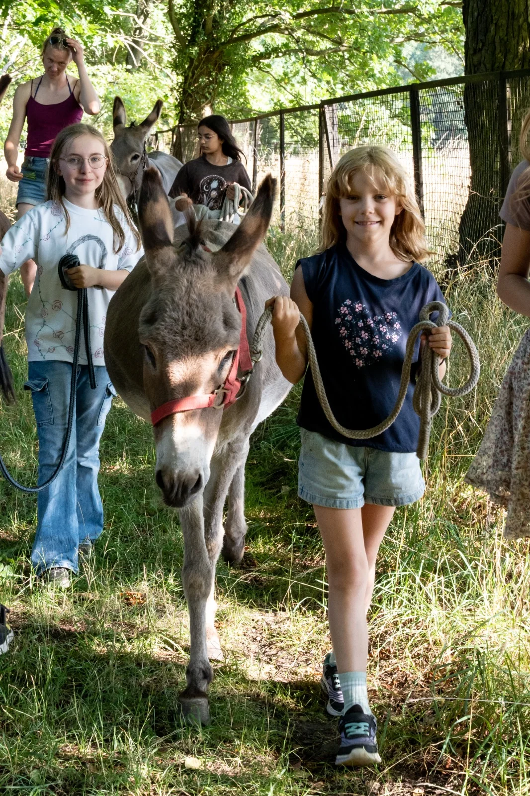 Ein Kind führt einen Esel auf der Eselwanderung