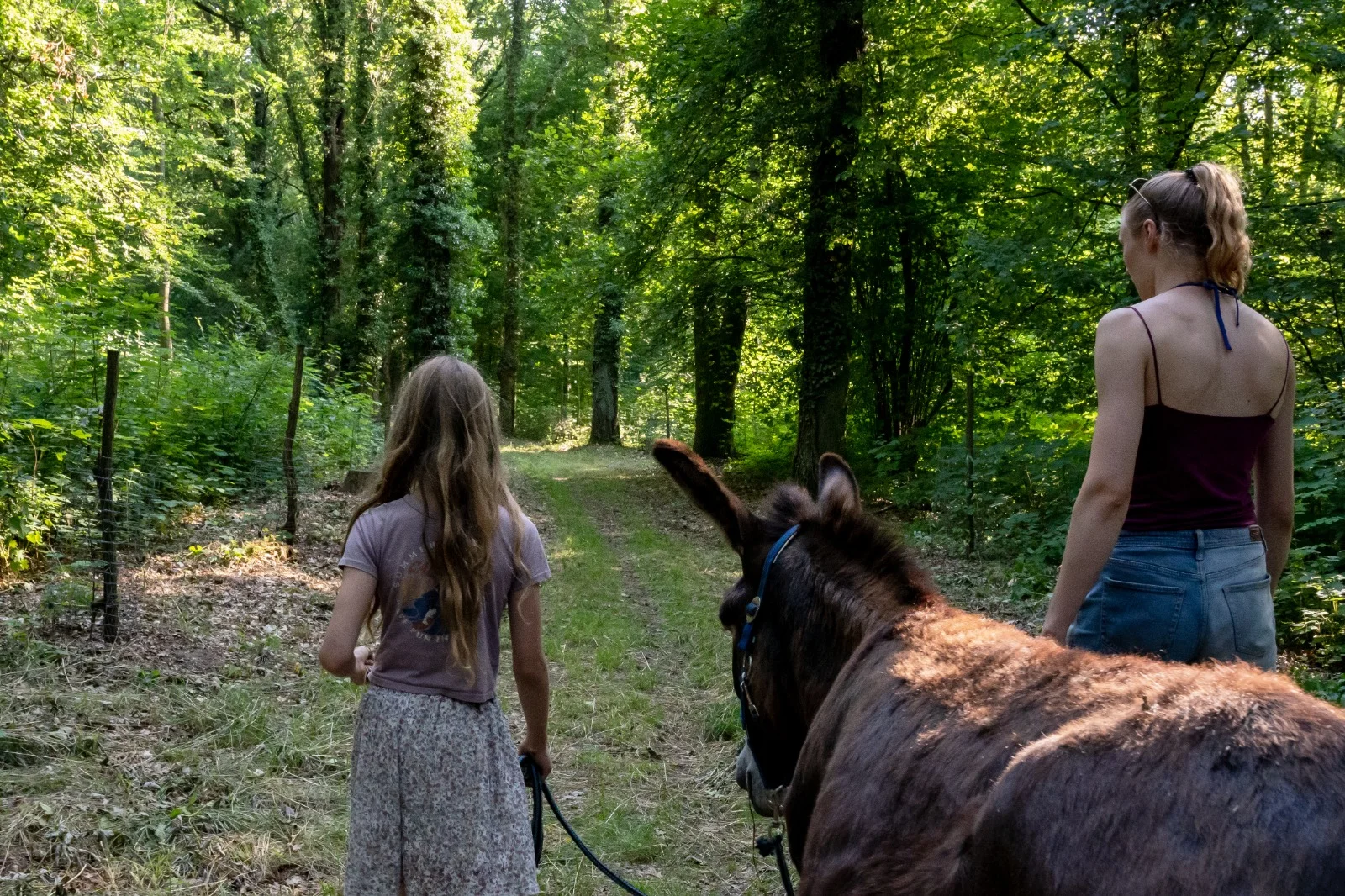 Mädchen und junge Frau unterwegs mit einem Esel im Wald
